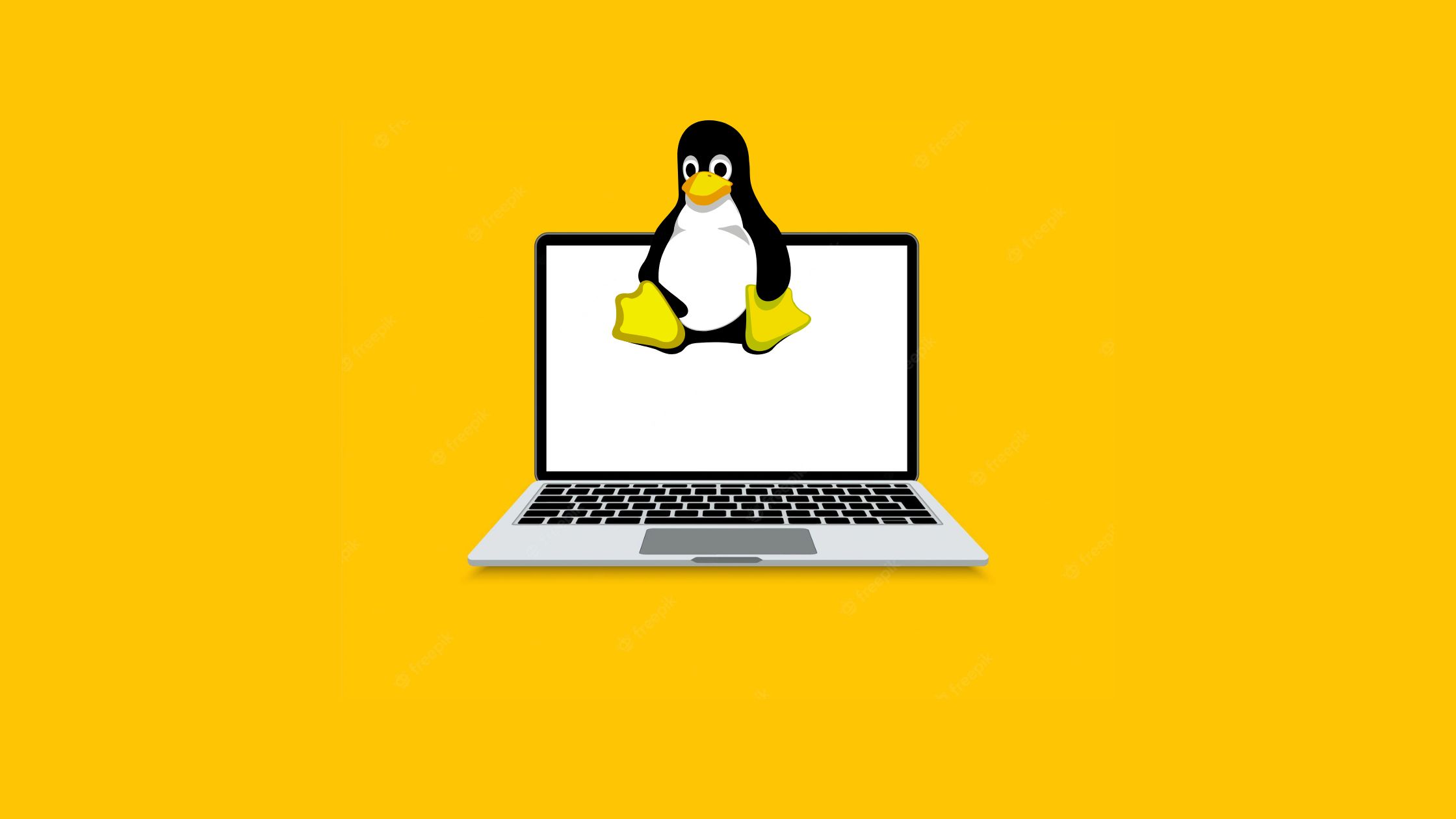 5+ Best Linux Laptops in 2022